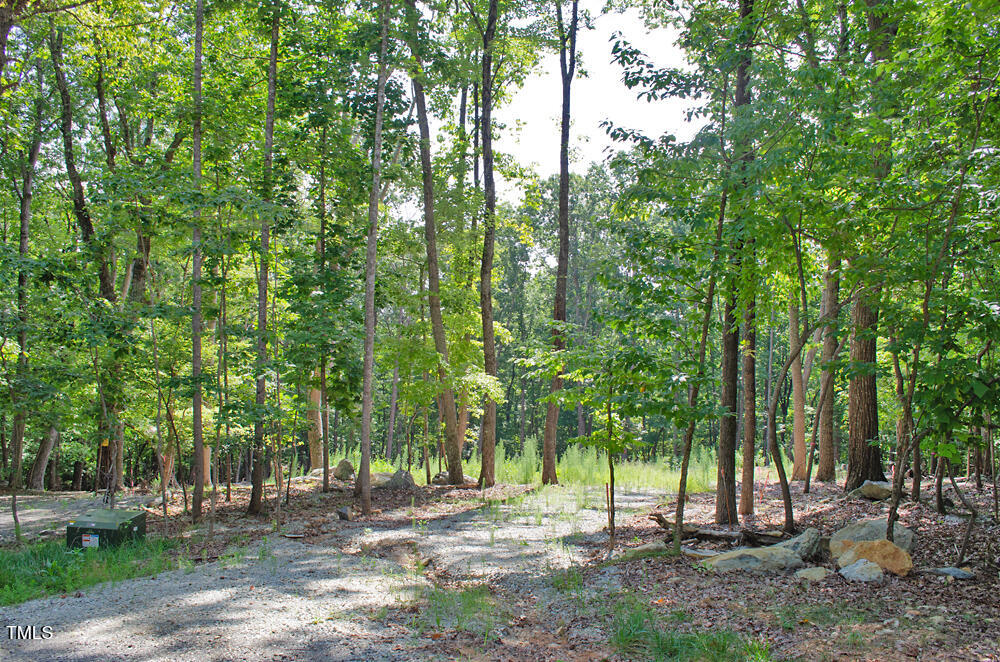 148 Lookout Rdg Way Rougemont, NC 27572 - Photo 3 of 22 a view of outdoor space with trees