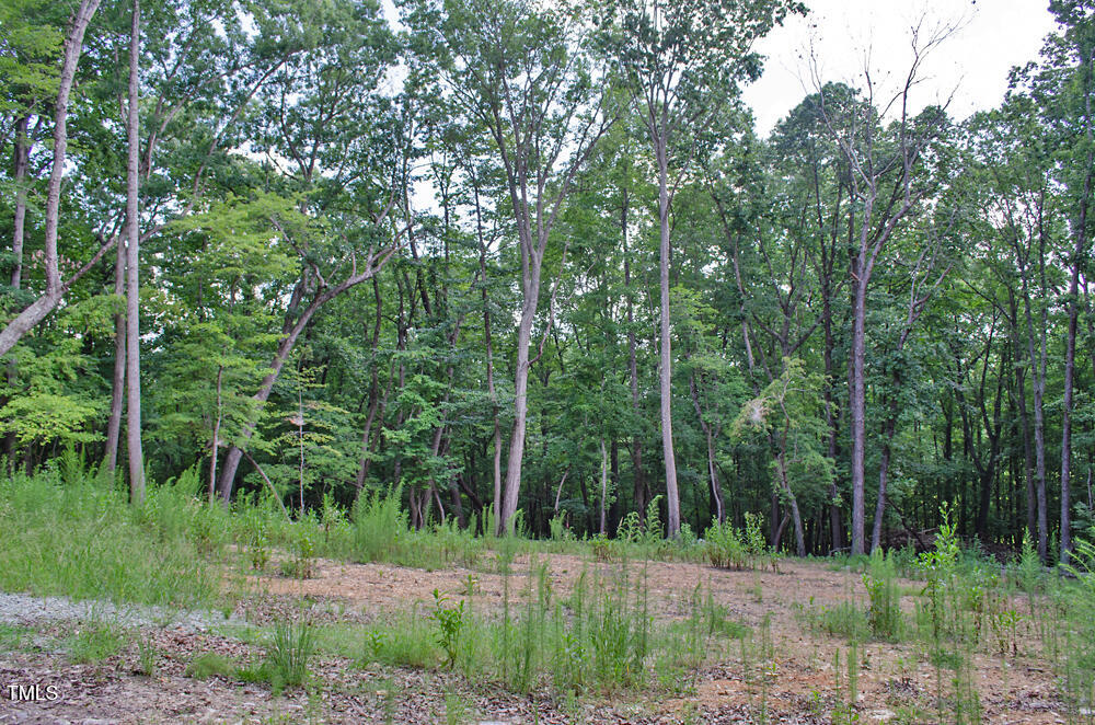 148 Lookout Rdg Way Rougemont, NC 27572 - Photo 8 of 22 a view of a field with trees in the background