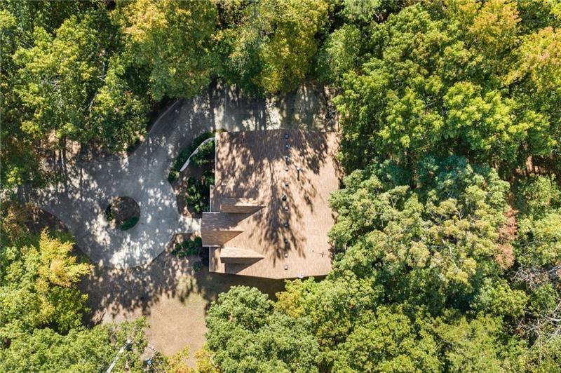 16218 Henderson Road Milton, GA 30004 - Photo 56 of 81 a view of a tree in a yard