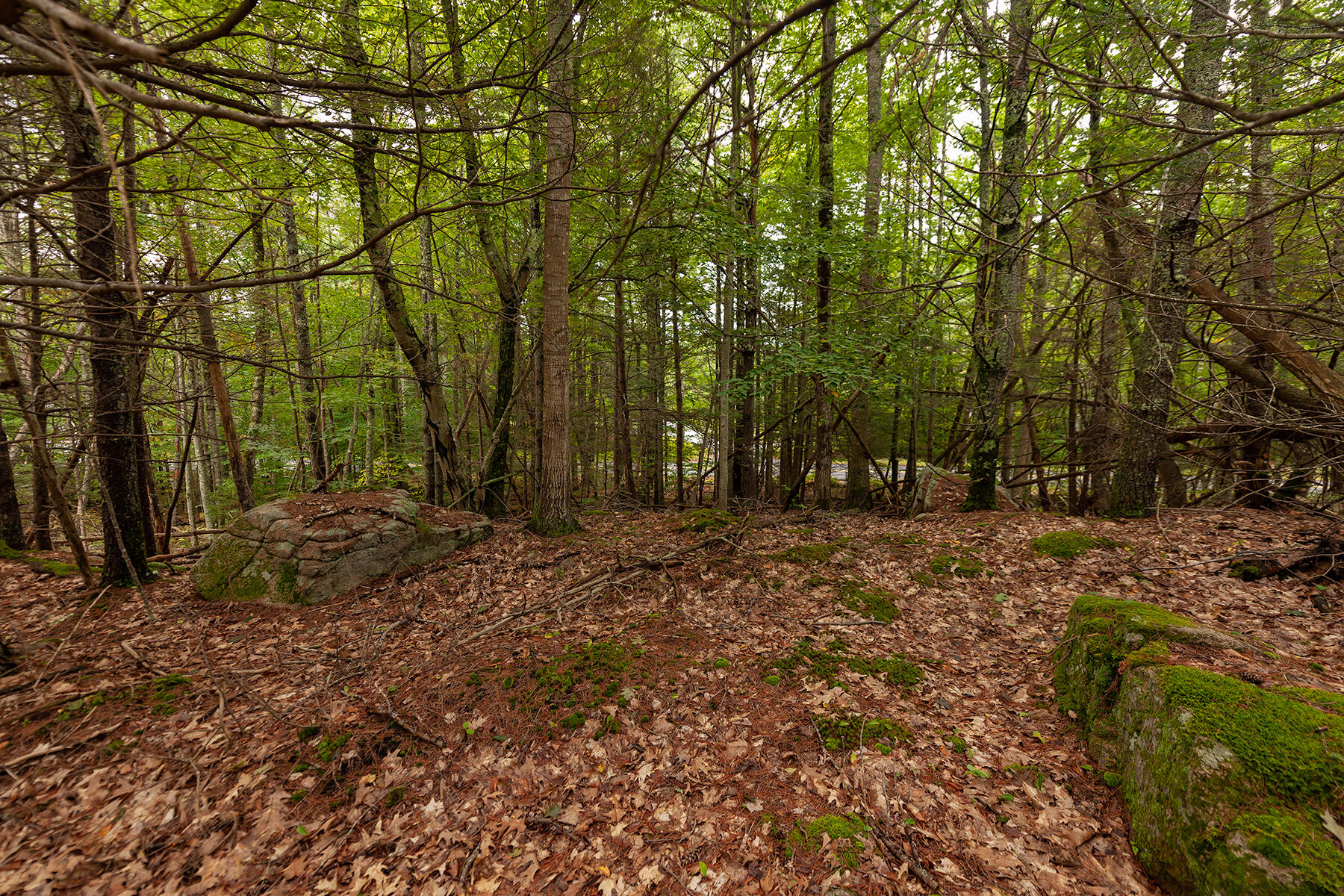 54 Logging Road York, ME 03902 - Photo 5 of 9 _DSC2271-Edit