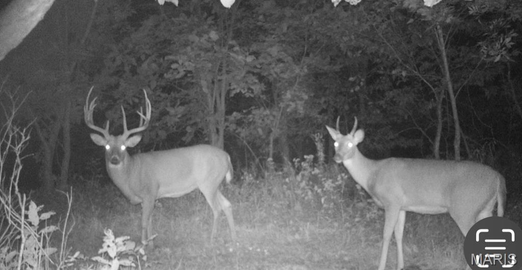 0 Fortune Road Burlington Junction, MO 64428 - Photo 15 of 40