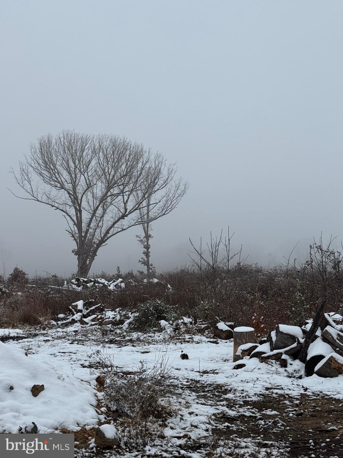 0 Old Mill Road Bealeton, VA 22712 - Photo 2 of 3 a view of outdoor space yard and lake