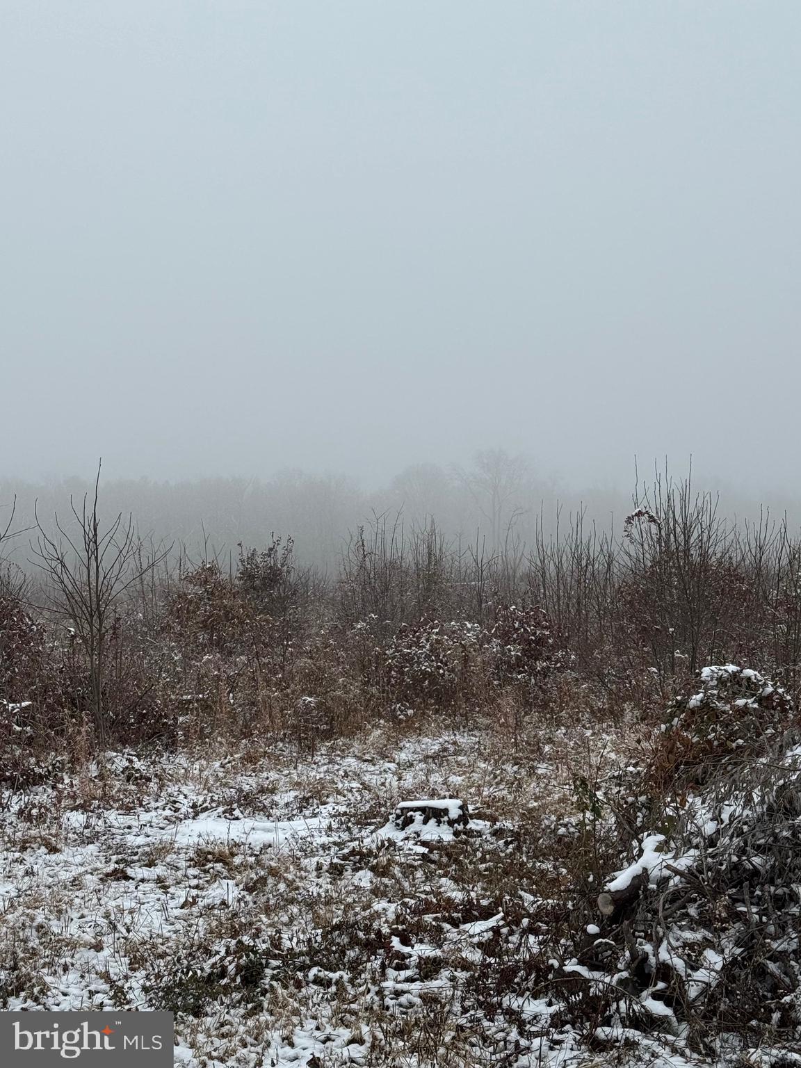 0 Old Mill Road Bealeton, VA 22712 - Photo 3 of 3 a view of a dry yard