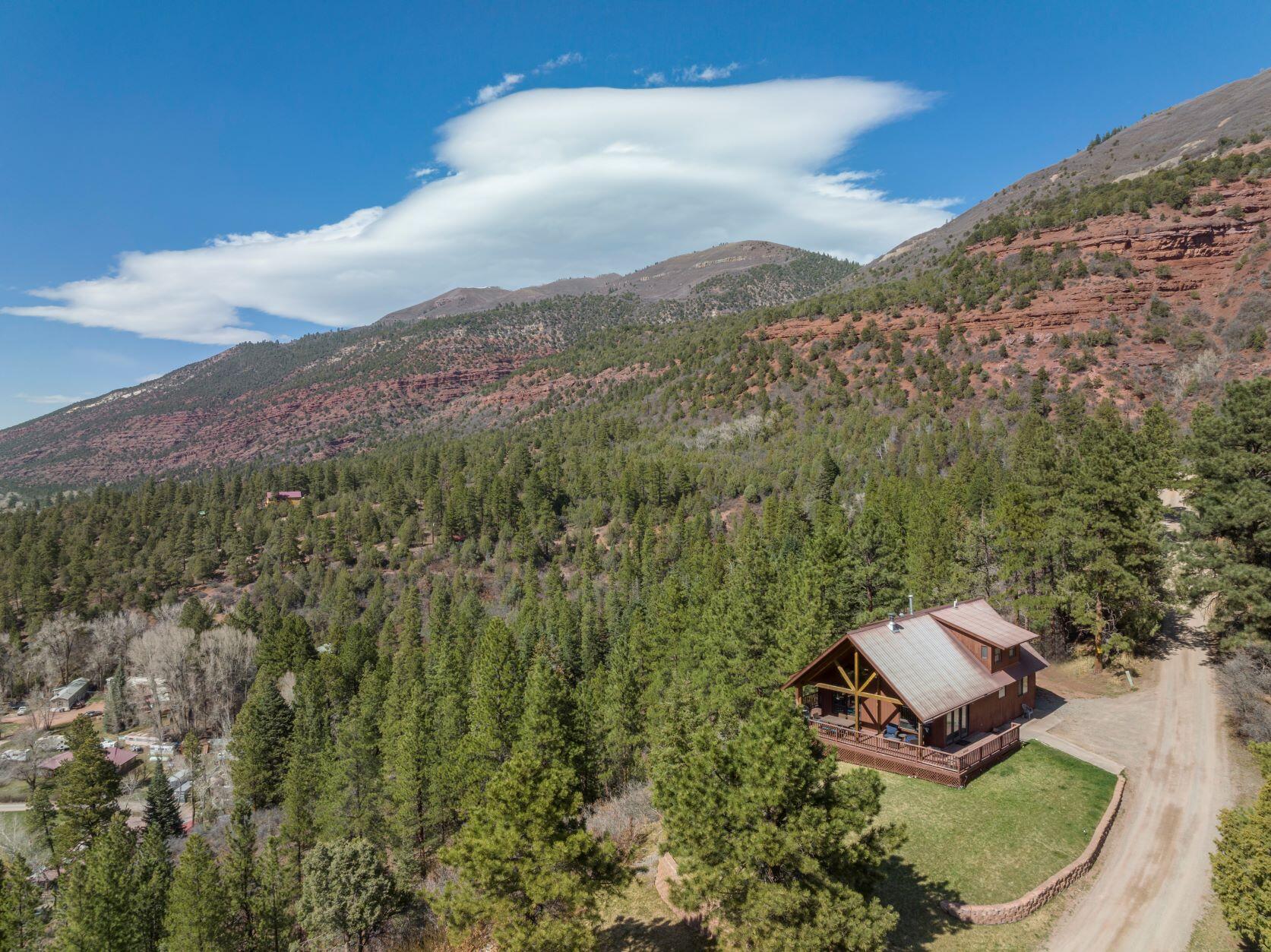 335 Red Stone Road Ridgway, CO 81432 - Photo 19 of 31 drone east