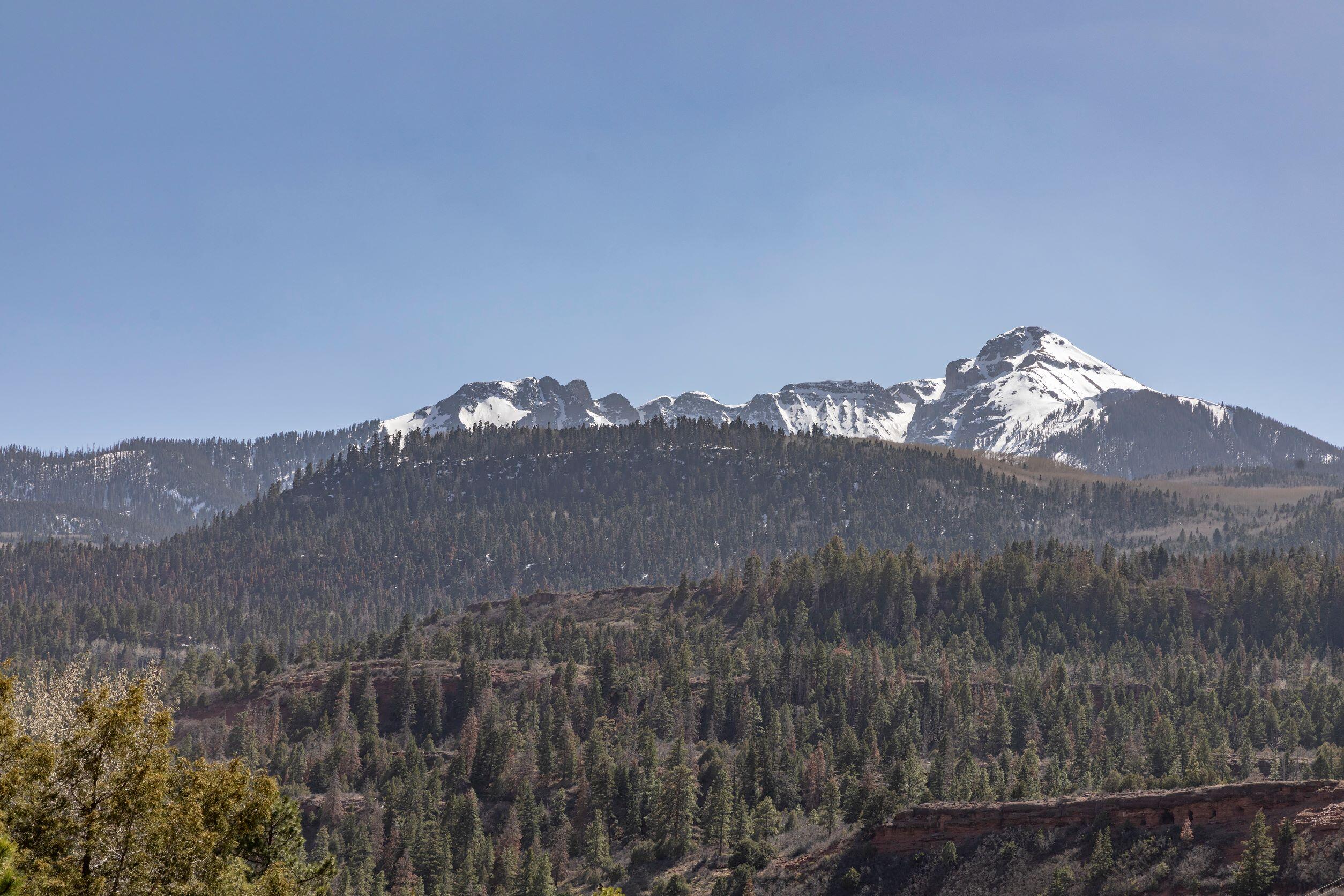 335 Red Stone Road Ridgway, CO 81432 - Photo 24 of 31 Potosi