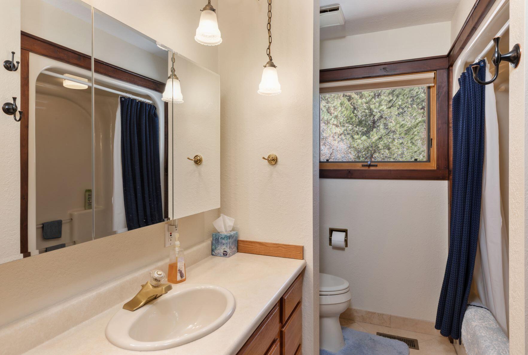 335 Red Stone Road Ridgway, CO 81432 - Photo 27 of 31 full bath