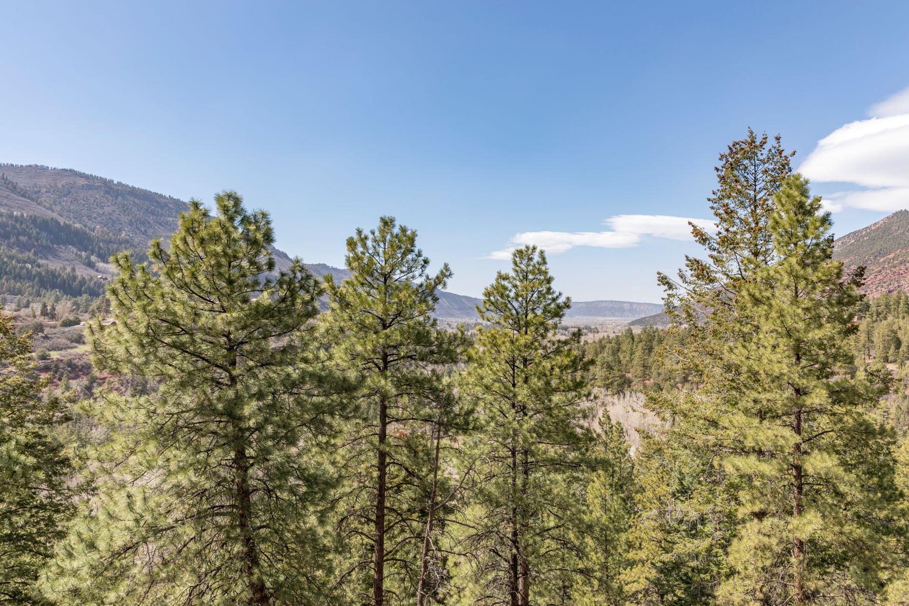 335 Red Stone Road Ridgway, CO 81432 - Photo 28 of 31 Pondys