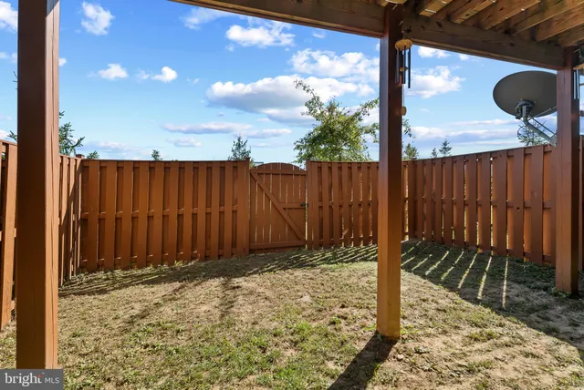 a view of a backyard with a large tree