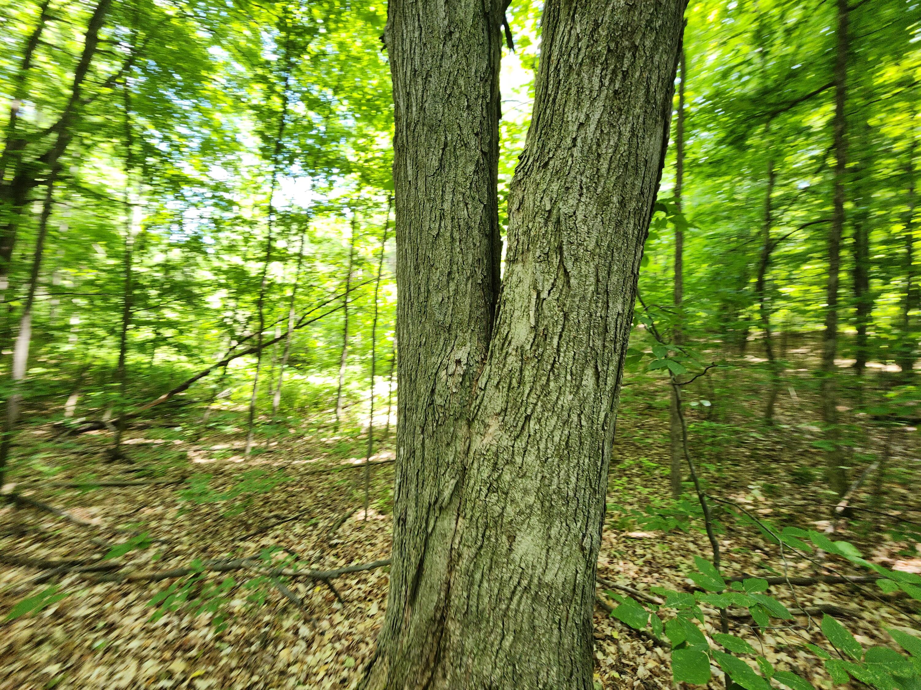 Winding Trail Fairview, MI 48621 - Photo 42 of 47 Gallery Image 42