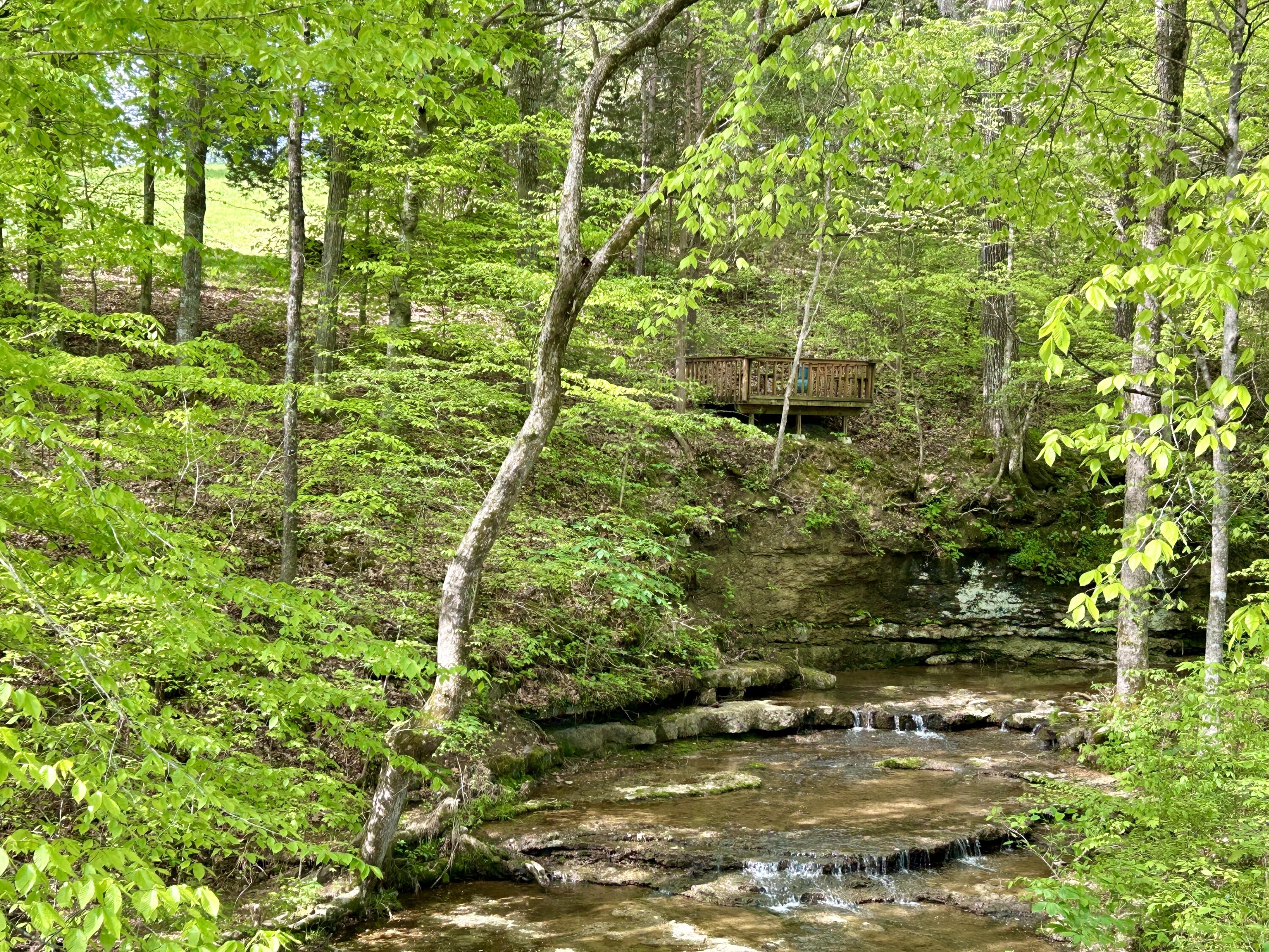 185 Woods Road Nancy, KY 42544 - Photo 2 of 67 IMG_8198