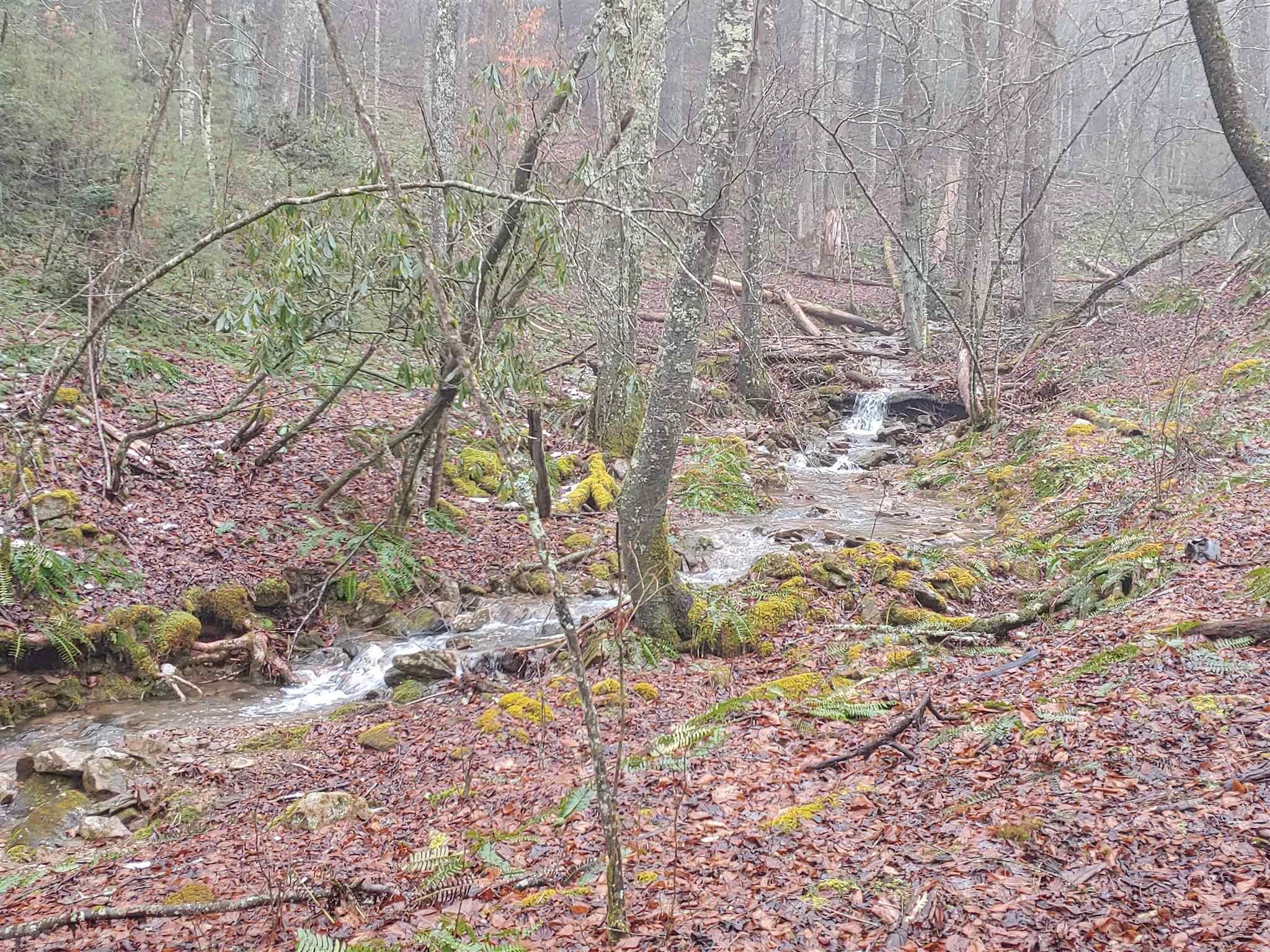 Tbd Tbd Macks Mtn Road Indian Valley, VA 24105 - Photo 1 of 27 Gallery Image 1