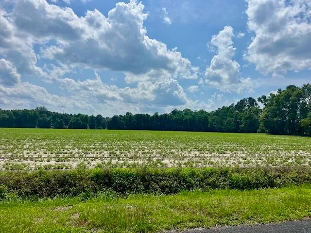 $135,000 | 0 Ashton Rd Lodge, Lodge, SC 29082