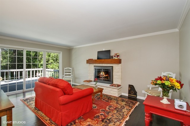 172 Stonegate Road Trout Valley, IL 60013 - Photo 9 of 20 a living room with furniture a fireplace and a potted plant