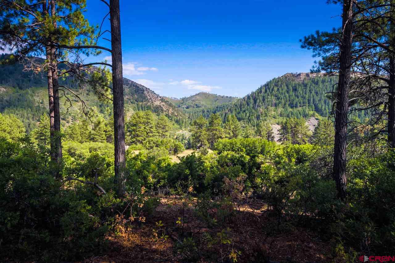 263 Edgemont Meadows Road Durango, CO 81301 - Photo 3 of 18 Gallery Image 3