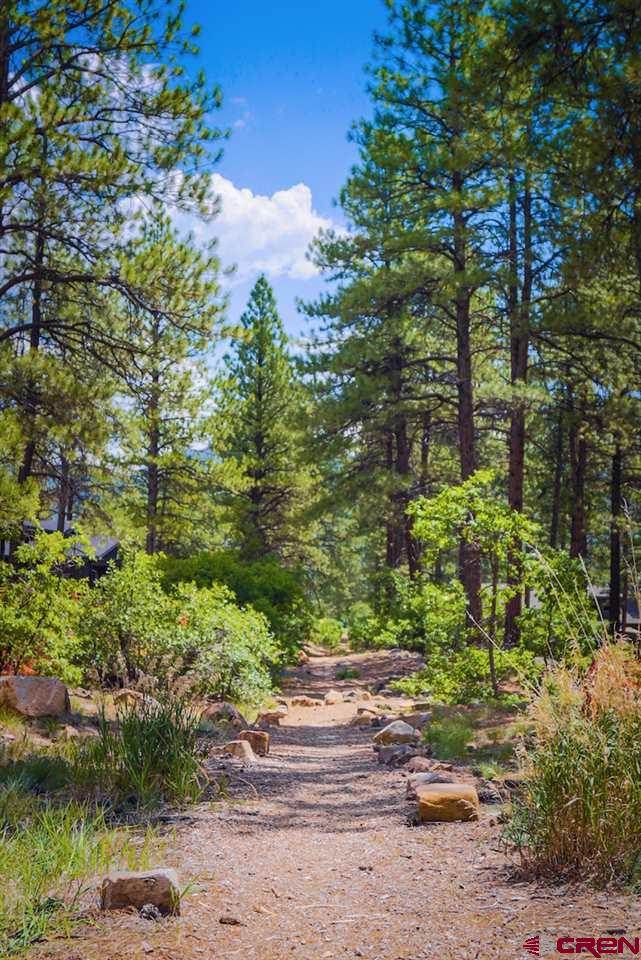 263 Edgemont Meadows Road Durango, CO 81301 - Photo 7 of 18 Gallery Image 7