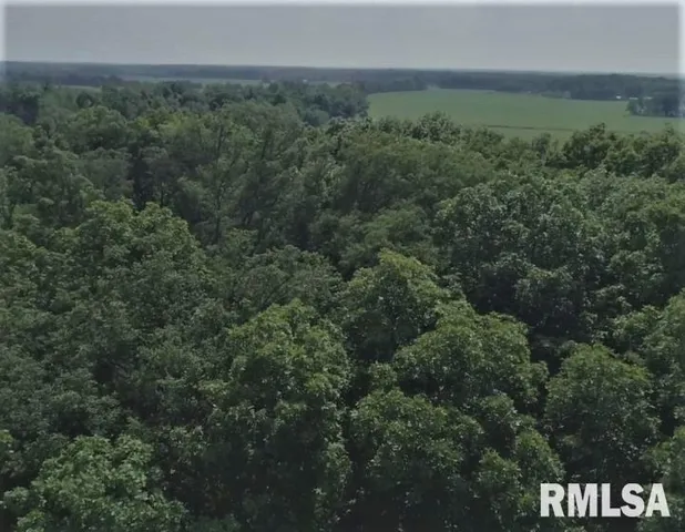 $350,000 | 1252 Highway 15, Fairfield, IL 62837