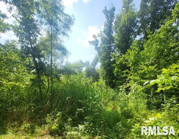 $350,000 | 1252 Highway 15, Fairfield, IL 62837