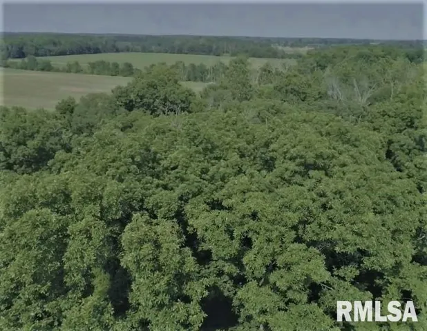 $350,000 | 1252 Highway 15, Fairfield, IL 62837