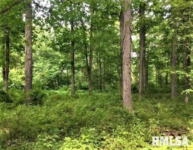 $350,000 | 1252 Highway 15, Fairfield, IL 62837