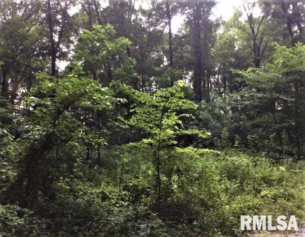 $350,000 | 1252 Highway 15, Fairfield, IL 62837