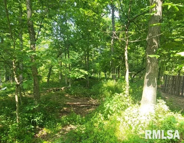 $350,000 | 1252 Highway 15, Fairfield, IL 62837