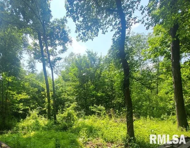 $350,000 | 1252 Highway 15, Fairfield, IL 62837