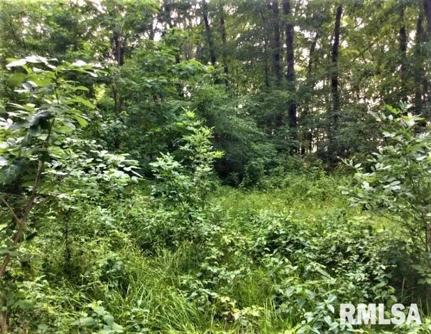 $350,000 | 1252 Highway 15, Fairfield, IL 62837