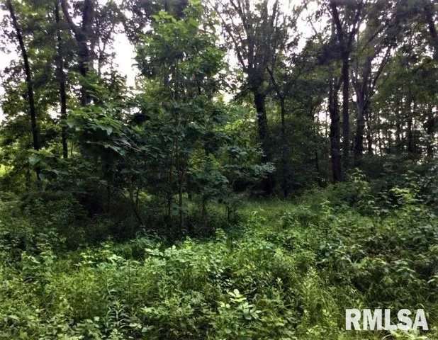 $350,000 | 1252 Highway 15, Fairfield, IL 62837