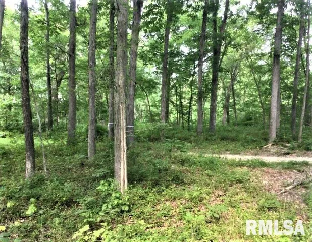 $350,000 | 1252 Highway 15, Fairfield, IL 62837