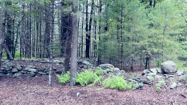 a view of a garden with a slide