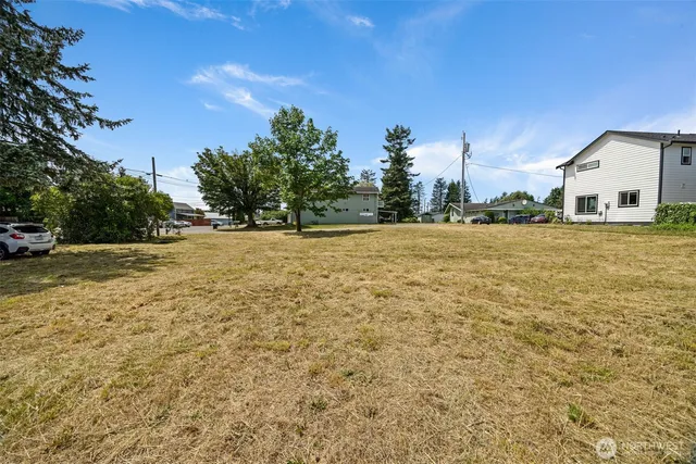 a view of a large trees with a big yard