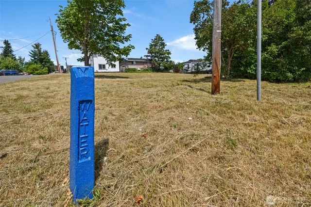 a view of a yard with a tree