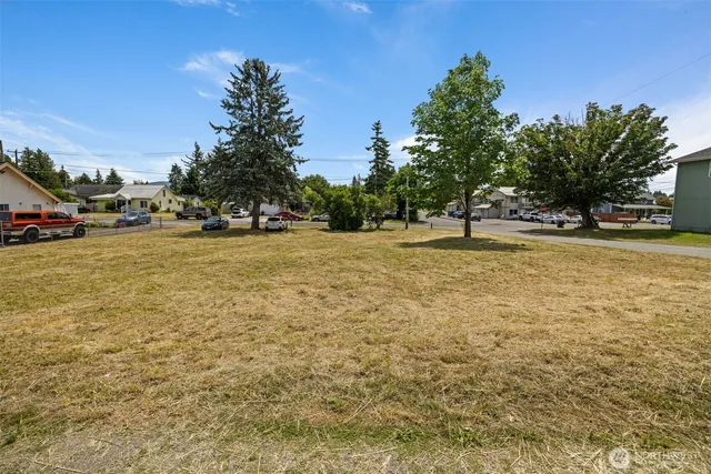 a view of a swimming pool and trees in the background