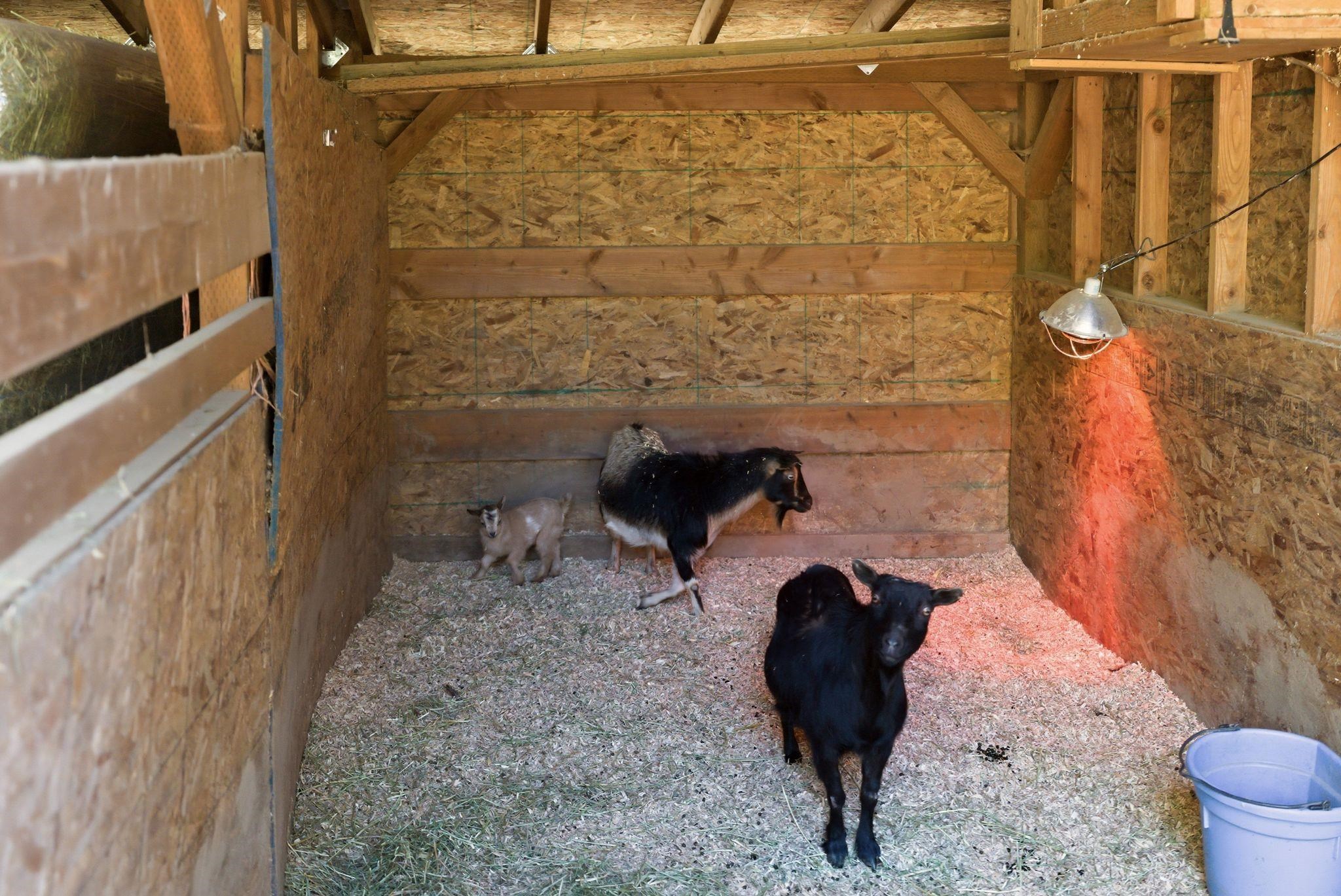 28411 North Short Road Deer Park, WA 99006 - Photo 28 of 33