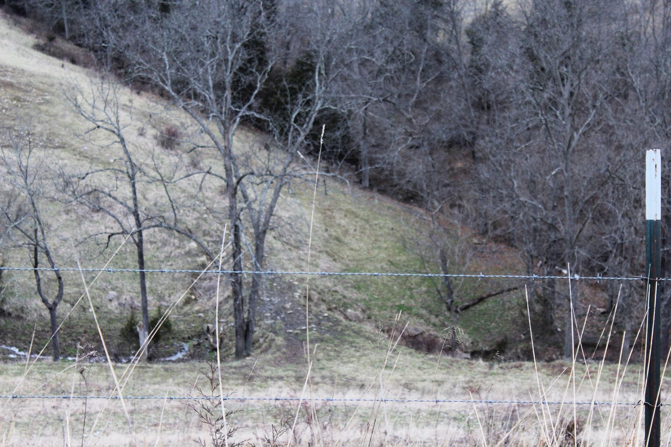 1544 Paxton Road Morning View, KY 41063 - Photo 4 of 30 Gallery Image 4