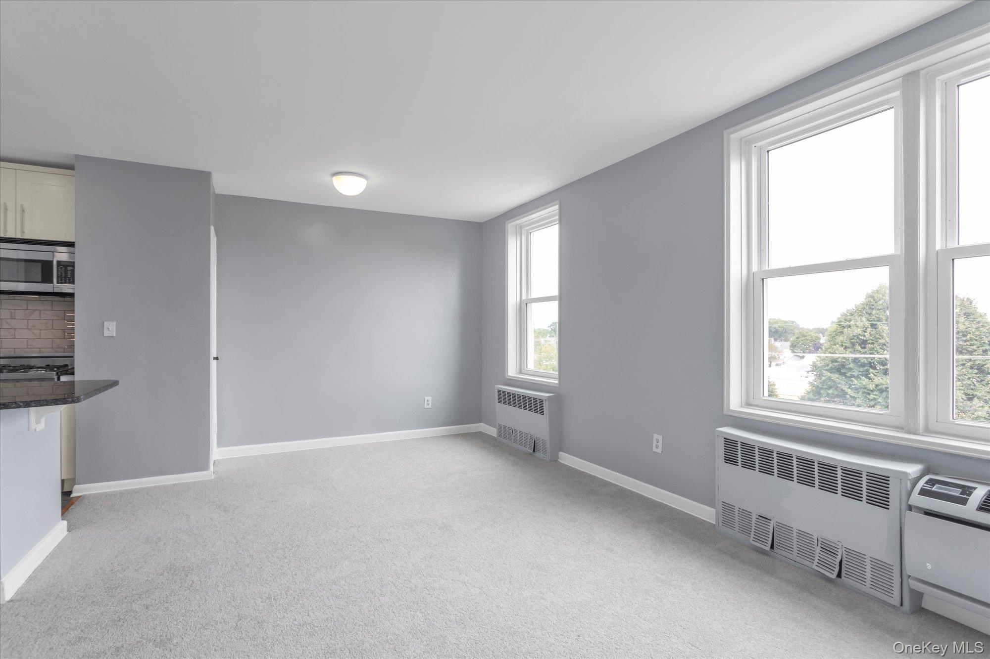 504 Merrick Road, Unit 4J Lynbrook, NY 11563 - Photo 5 of 28 a view of an empty room with a window