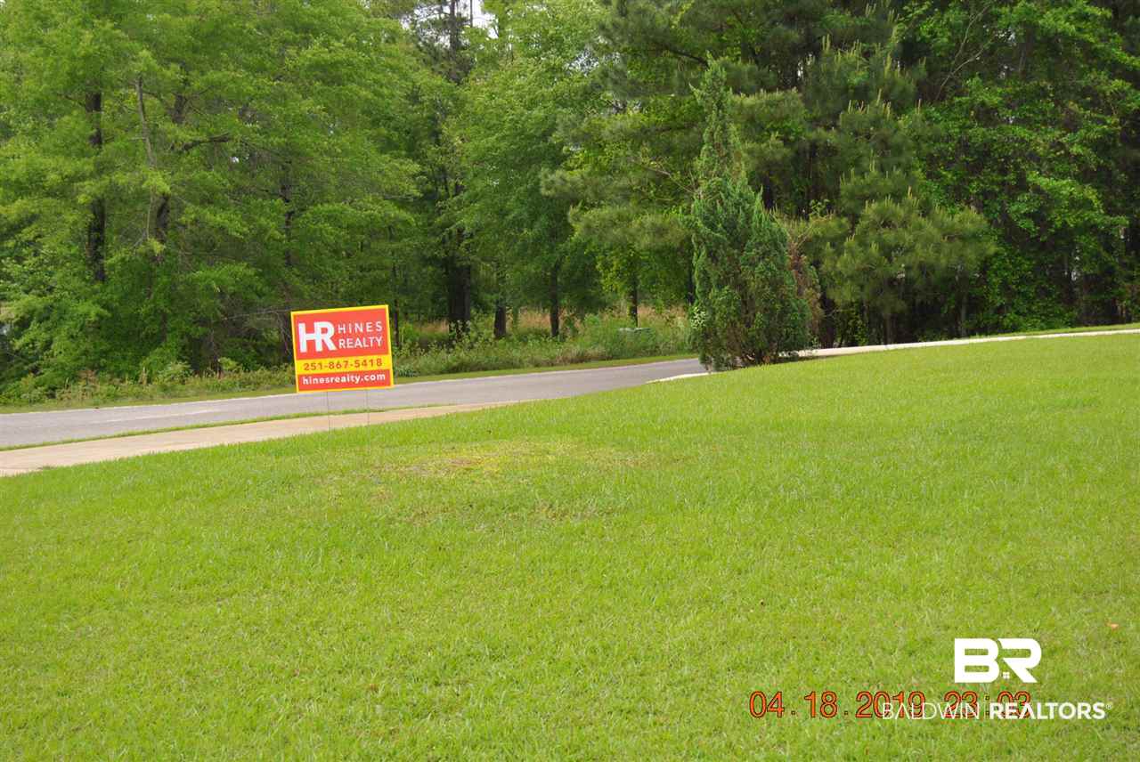 411 Juniper Creek Road Brewton, AL 36426 - Photo 5 of 35 yard