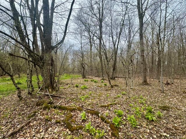 Lot 4 Shaver Hill Road Meridale, NY 13806 - Photo 29 of 45 Gallery Image 29