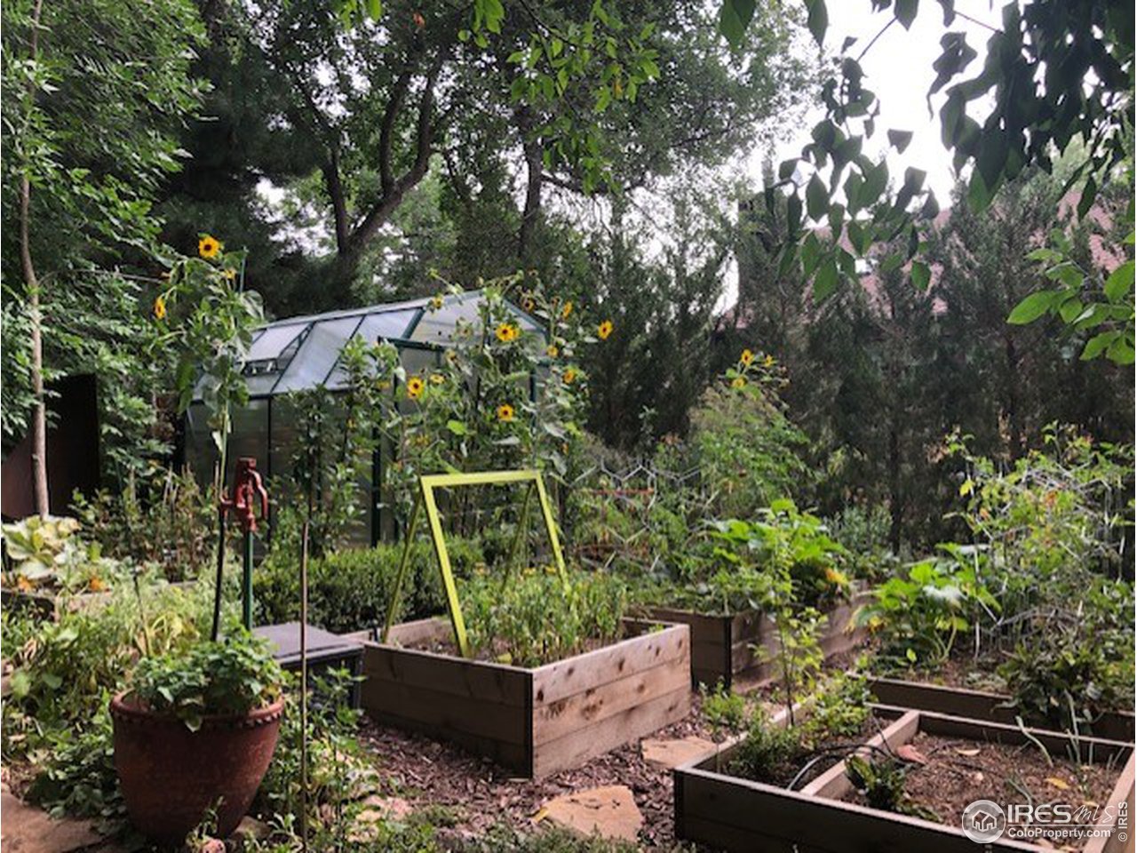 603 Kalmia Avenue Boulder, CO 80304 - Photo 30 of 39 a view of a backyard with plants and a garden