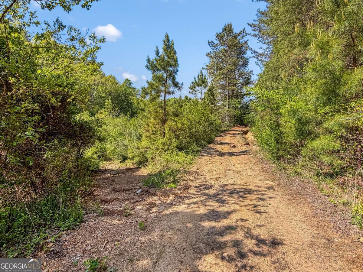 80-acres Valley Lake Road Morganton, GA 30560 - Photo 12 of 58