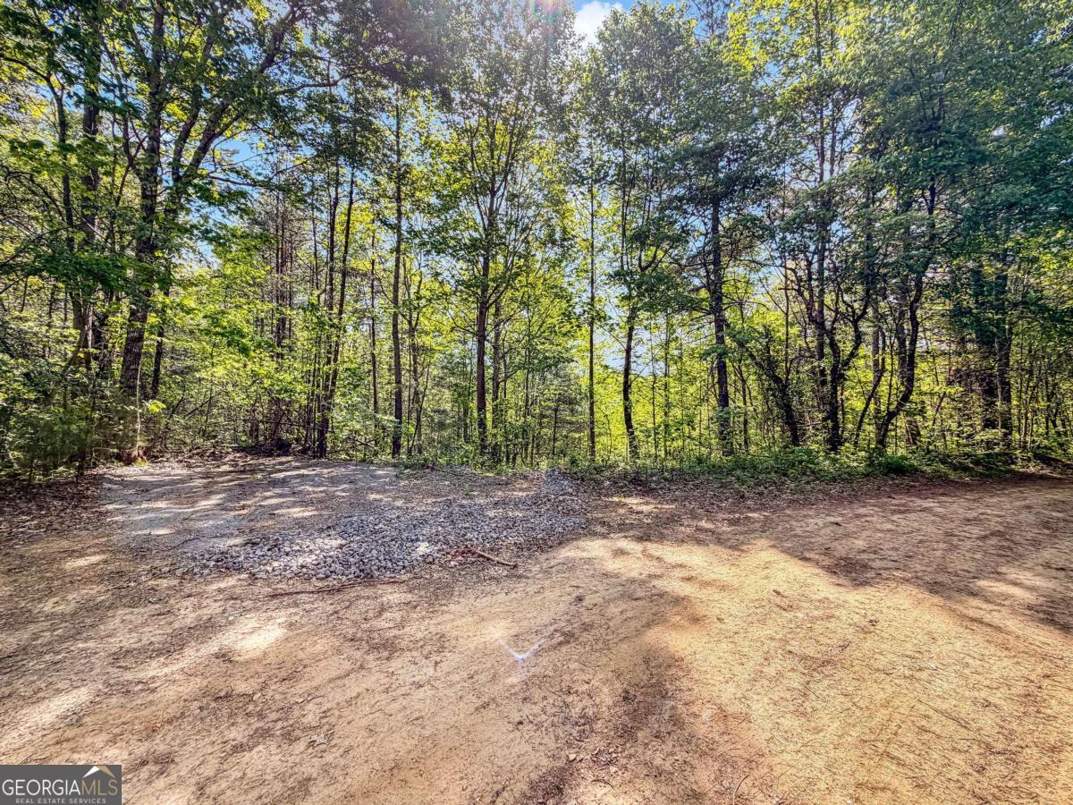 80-acres Valley Lake Road Morganton, GA 30560 - Photo 14 of 58