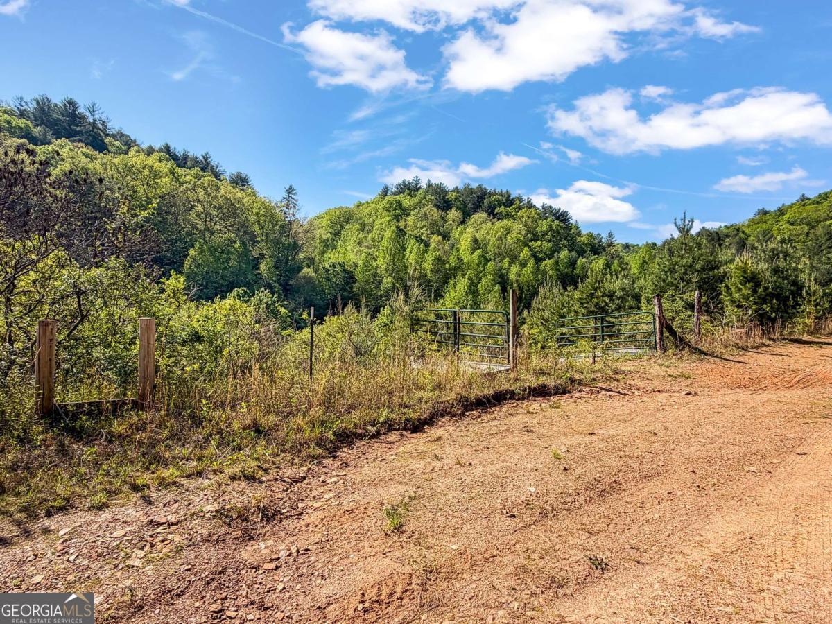 80-acres Valley Lake Road Morganton, GA 30560 - Photo 15 of 58