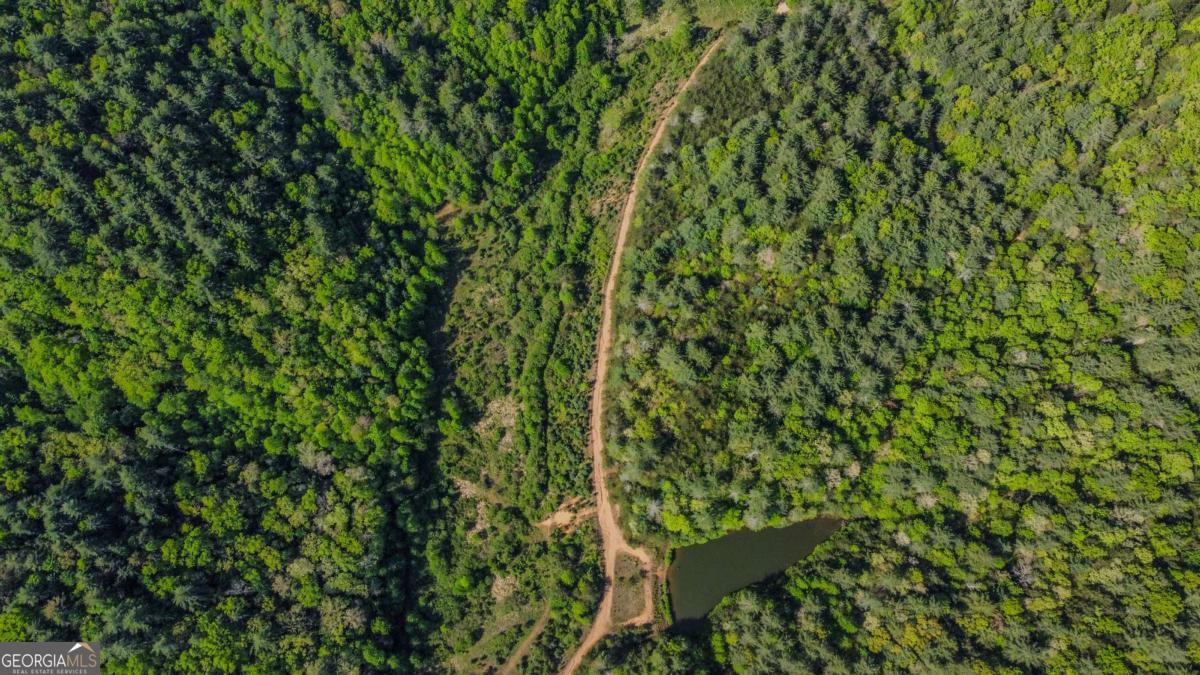 80-acres Valley Lake Road Morganton, GA 30560 - Photo 16 of 58