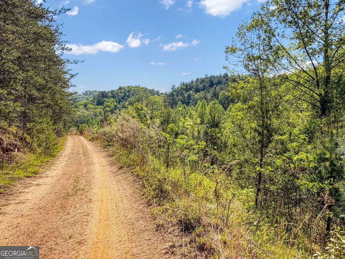 80-acres Valley Lake Road Morganton, GA 30560 - Photo 19 of 58