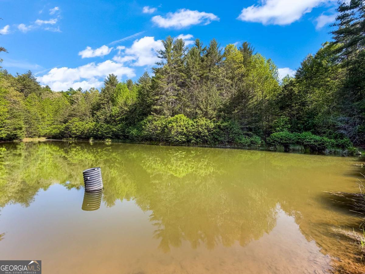 80-acres Valley Lake Road Morganton, GA 30560 - Photo 20 of 58