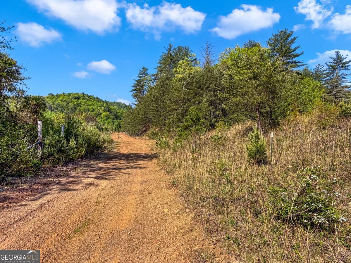 80-acres Valley Lake Road Morganton, GA 30560 - Photo 23 of 58