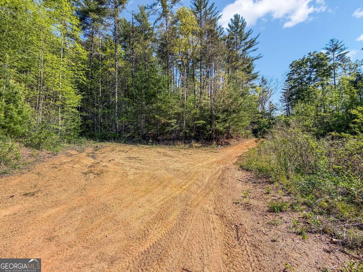 80-acres Valley Lake Road Morganton, GA 30560 - Photo 24 of 58