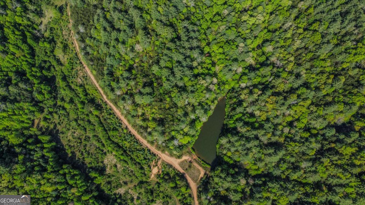 80-acres Valley Lake Road Morganton, GA 30560 - Photo 25 of 58