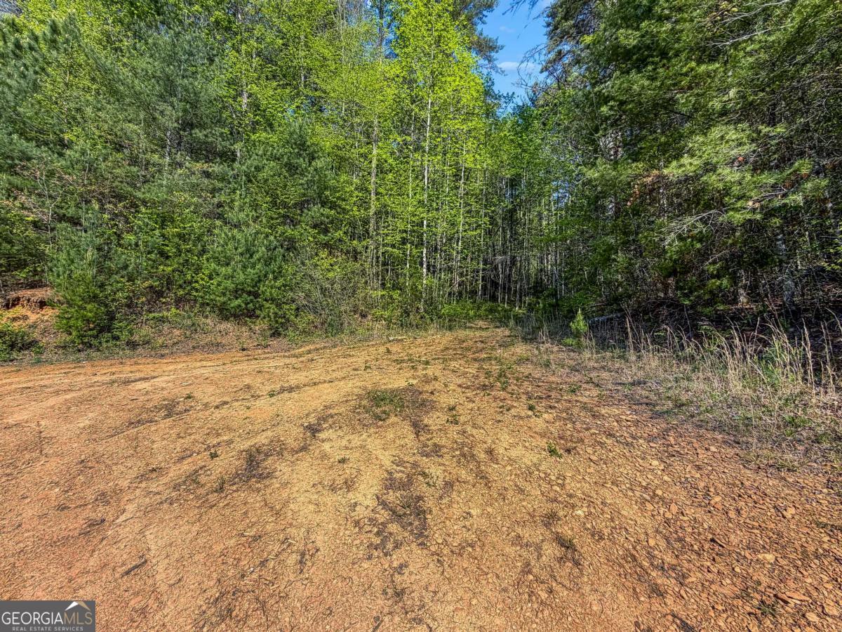 80-acres Valley Lake Road Morganton, GA 30560 - Photo 26 of 58
