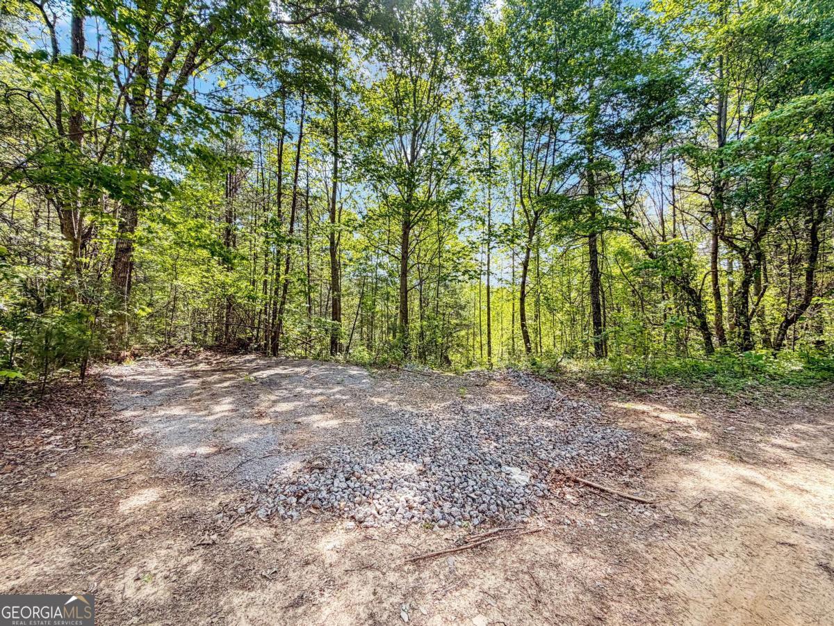 80-acres Valley Lake Road Morganton, GA 30560 - Photo 27 of 58